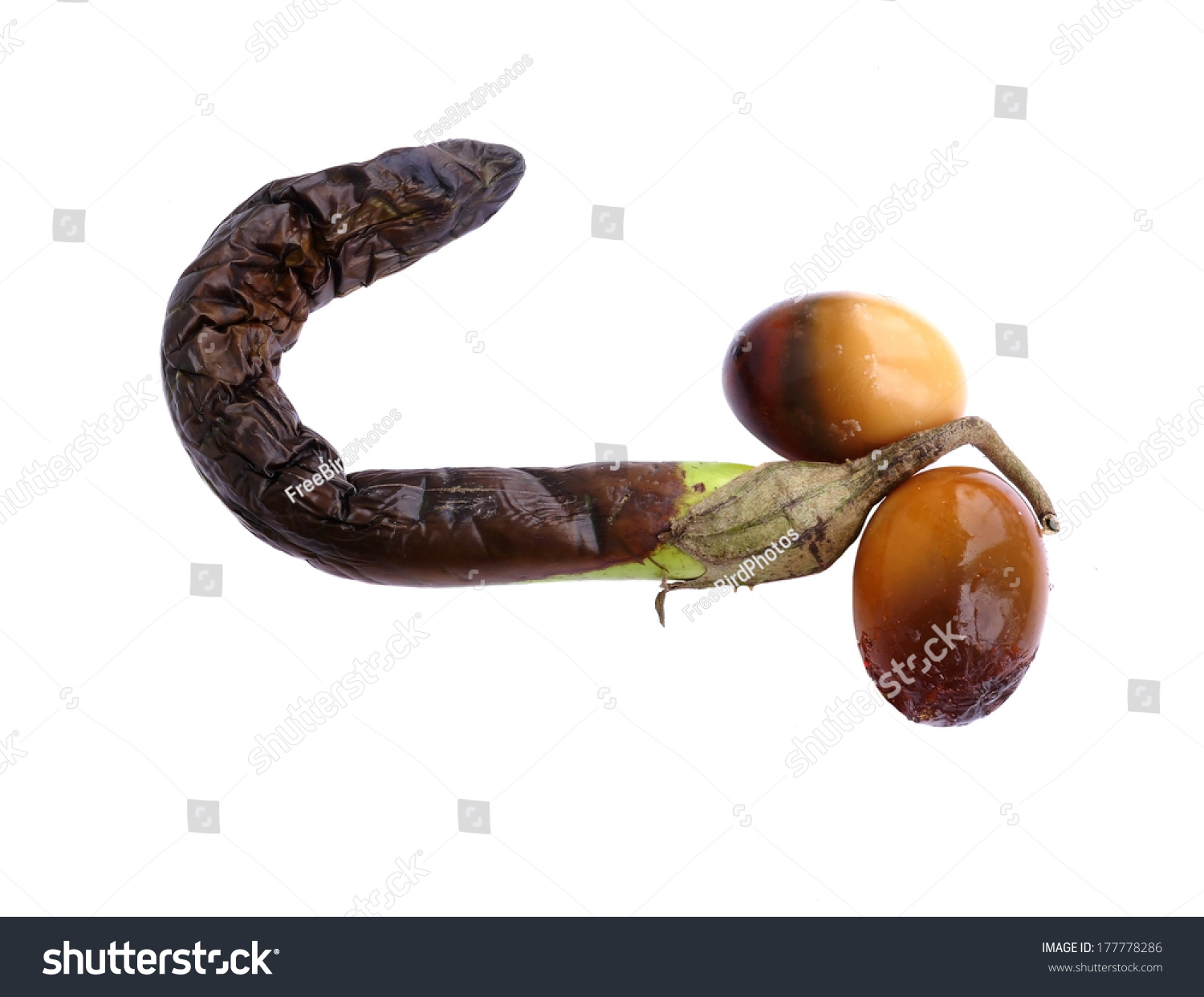 Eggplant Penis 28