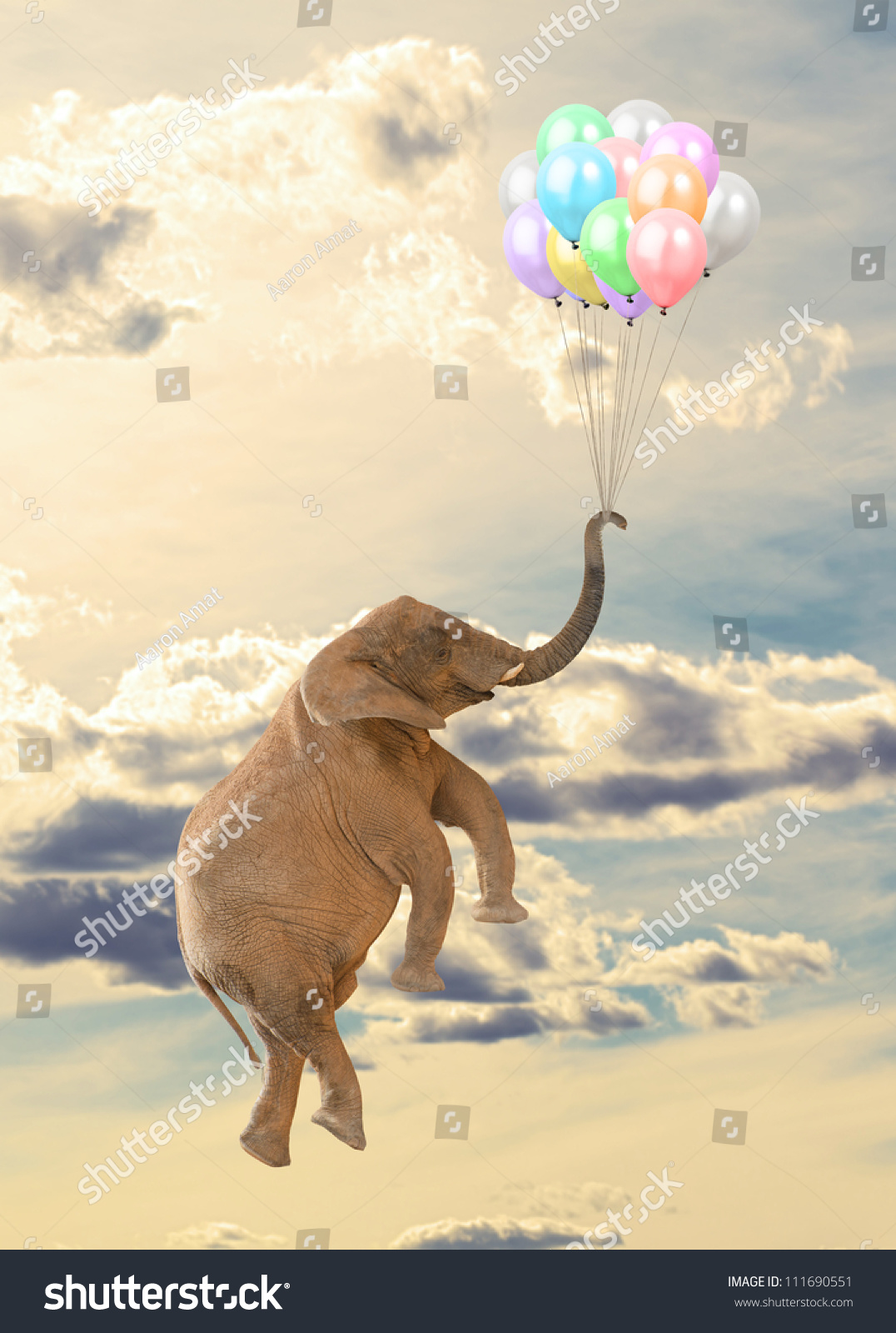 Elephant Flying Balloon Sky Stock Photo Shutterstock