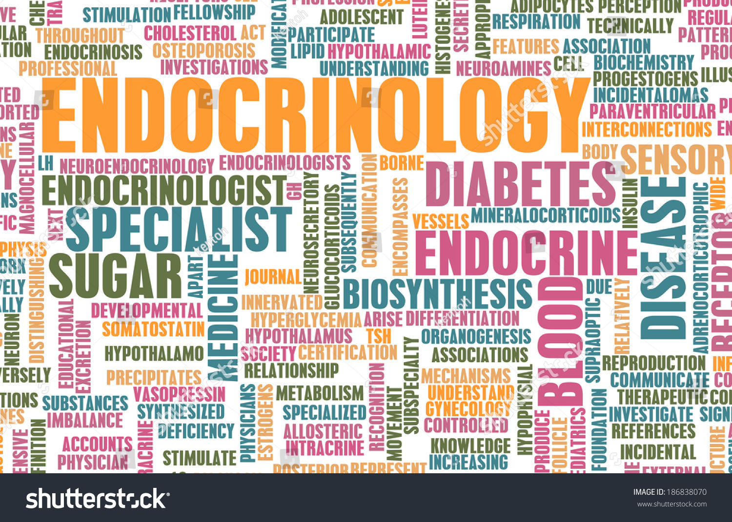 Endocrinology Endocrine System Concept Stock Illustration 186838070