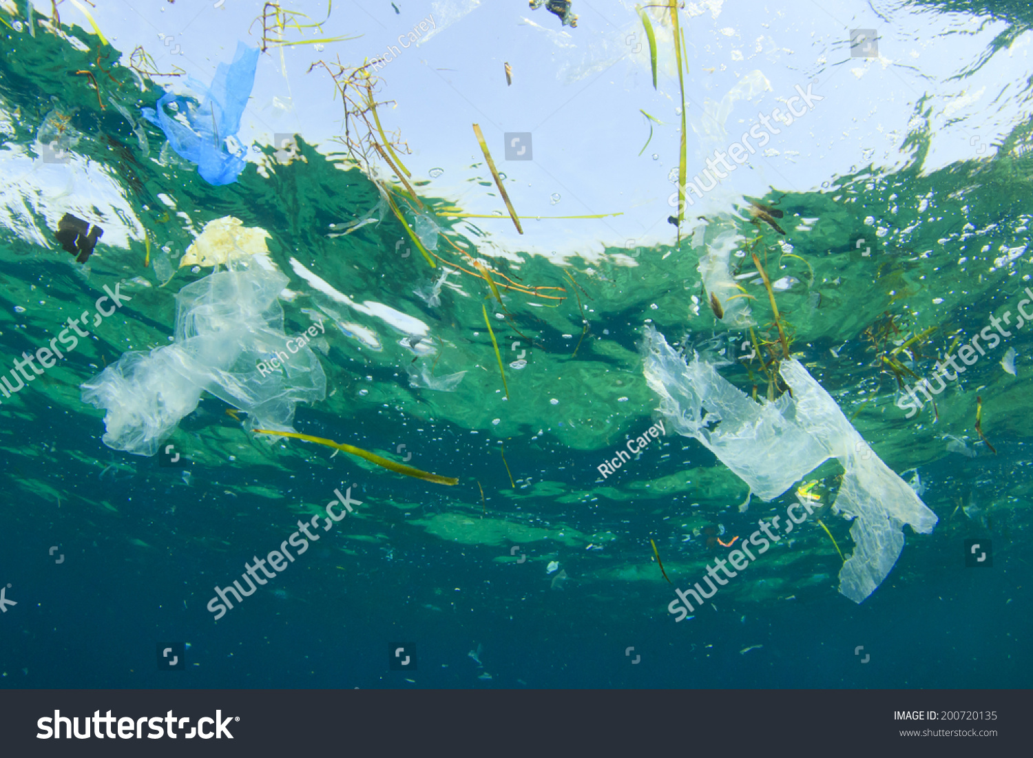 essay on plastic bags and environmental problems essay on plastic bags and environmental problems