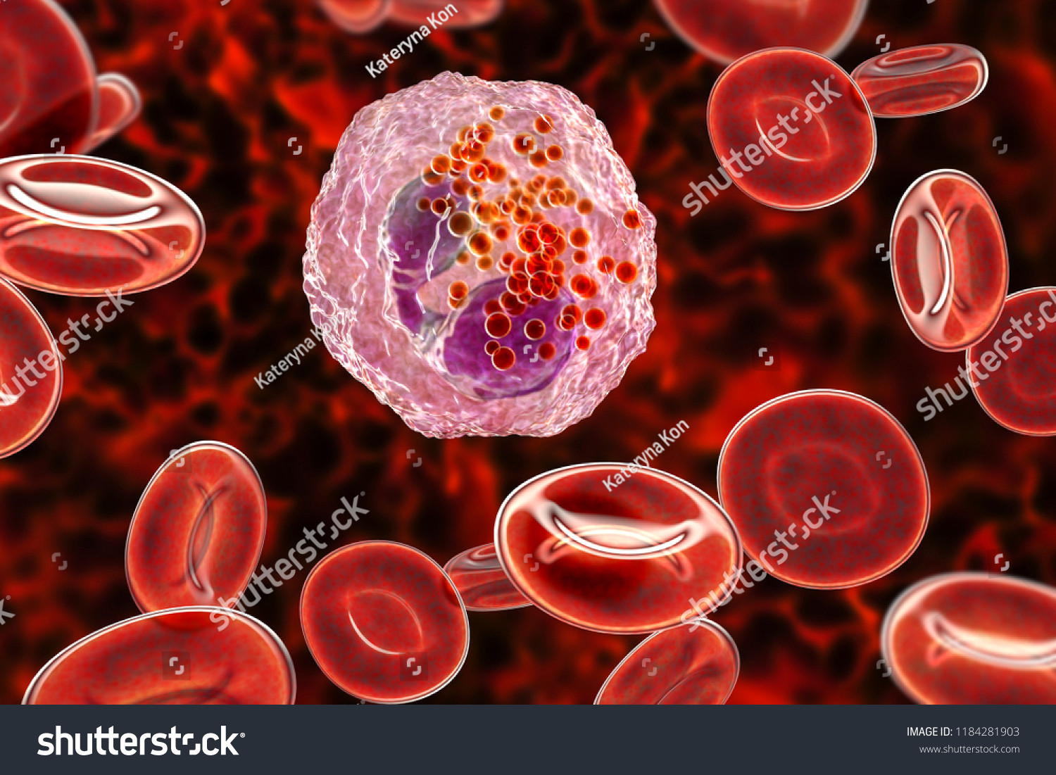 Eosinophil White Blood Cell D Illustration