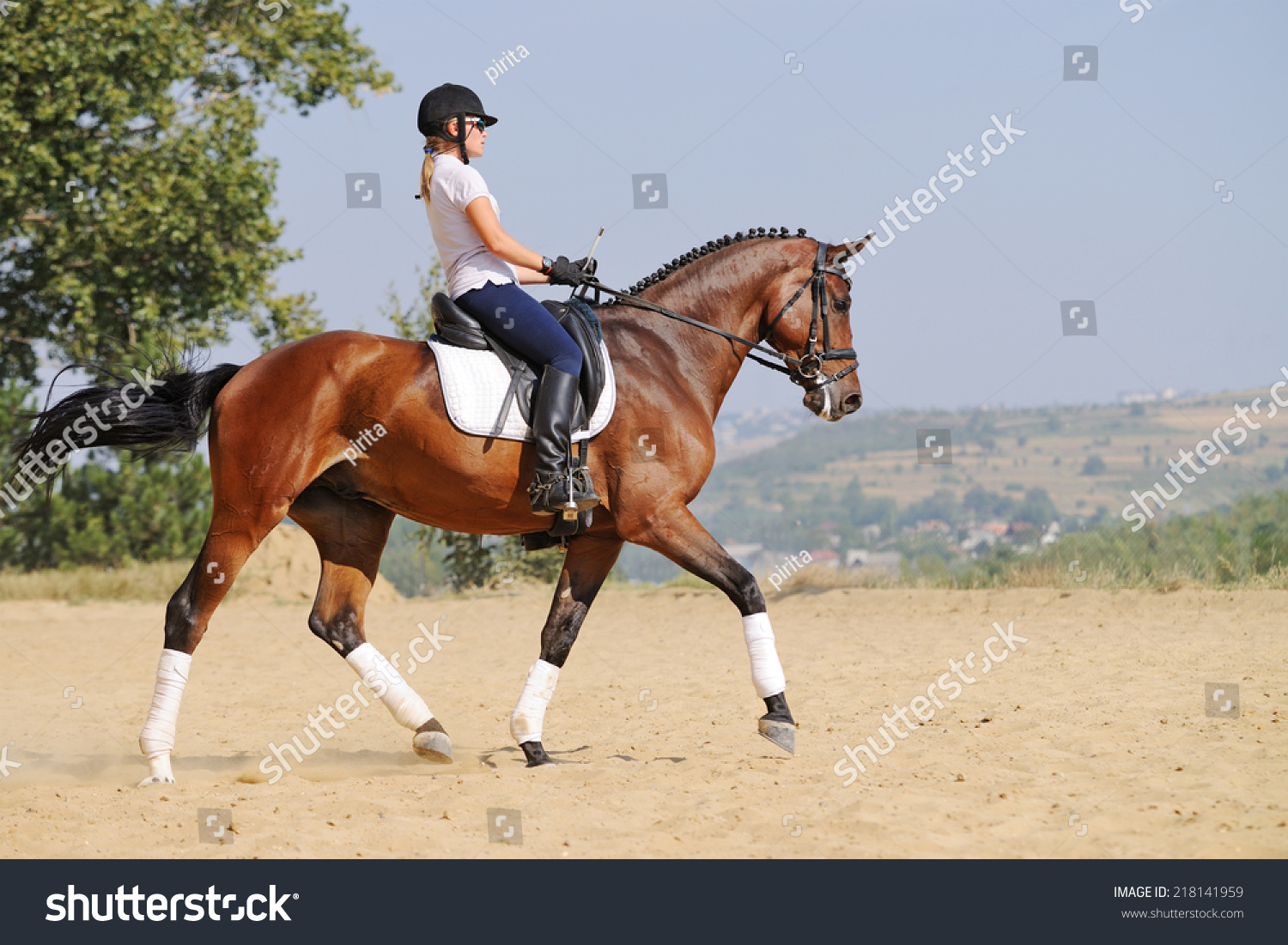 Equestrianism Rider On Bay Dressage Horse Stock Photo 218141959 ...