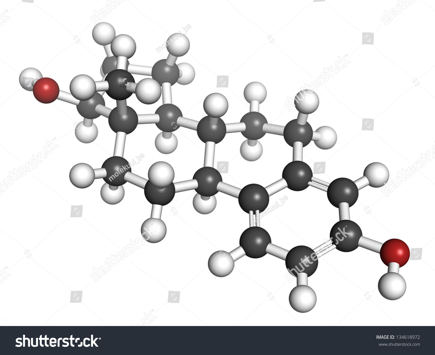 Estrogen Estradiol Female Sex Hormone Molecular Model Atoms Are