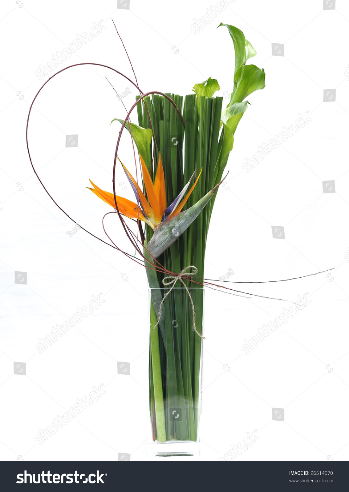 Exotic Flower Arrangement Stock Photo 96514570 - Shutterstock