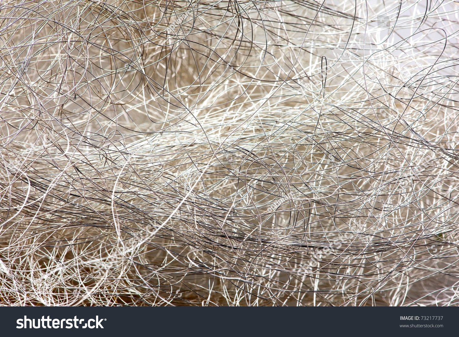 Extremely Fine Strands Of Silver Metal Wire Stock Photo 73217737 