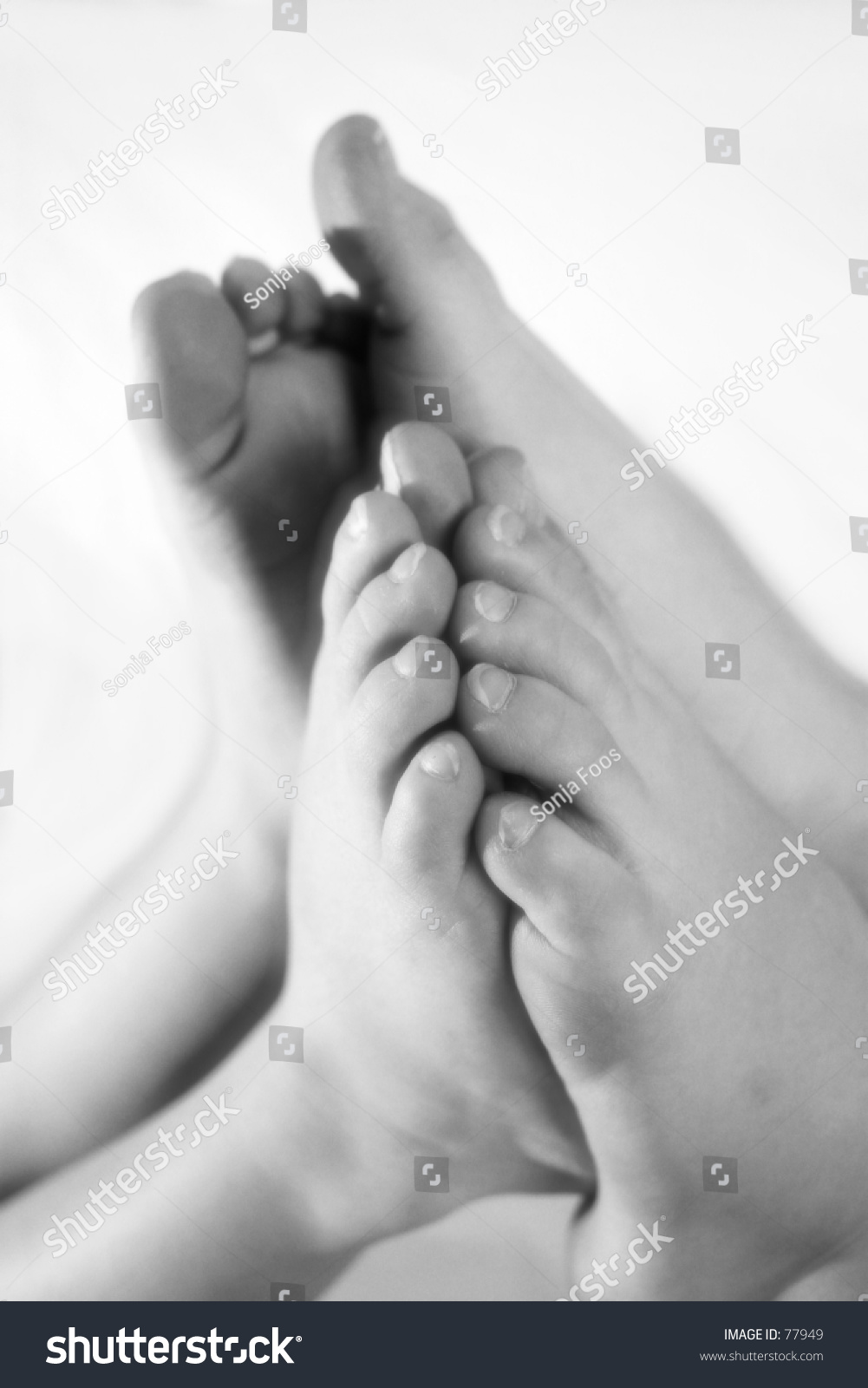 Feet In Black And White Stock Photo 77949 : Shutterstock
