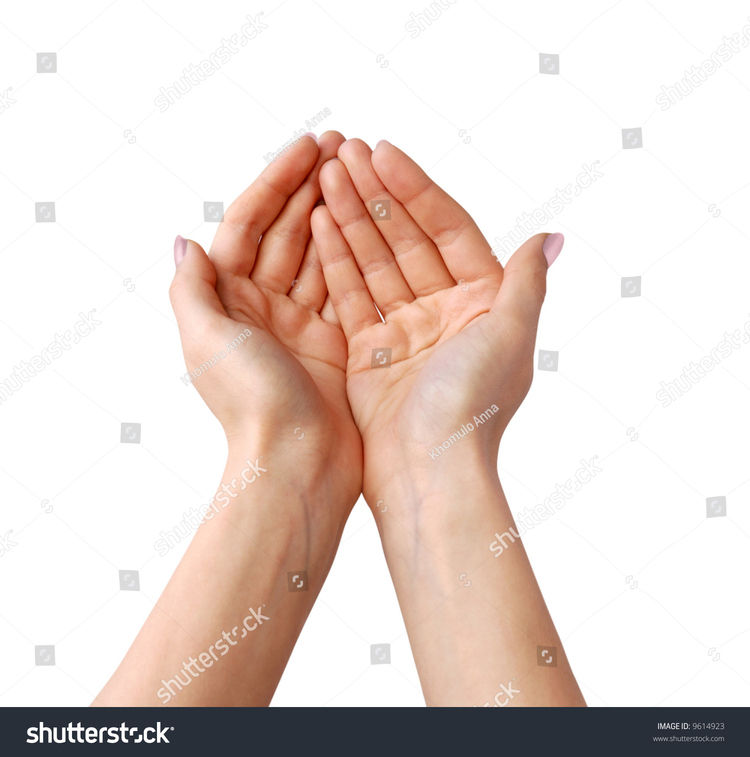 Female Hands Stock Photo 9614923 : Shutterstock