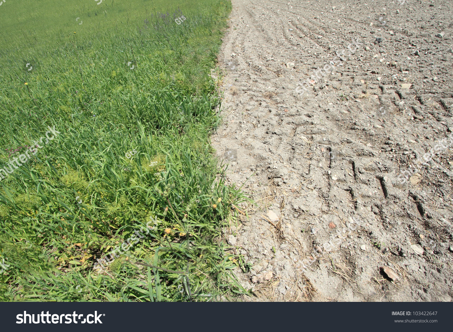 Fertile Land And Barren Land Stock Photo 103422647 Shutterstock