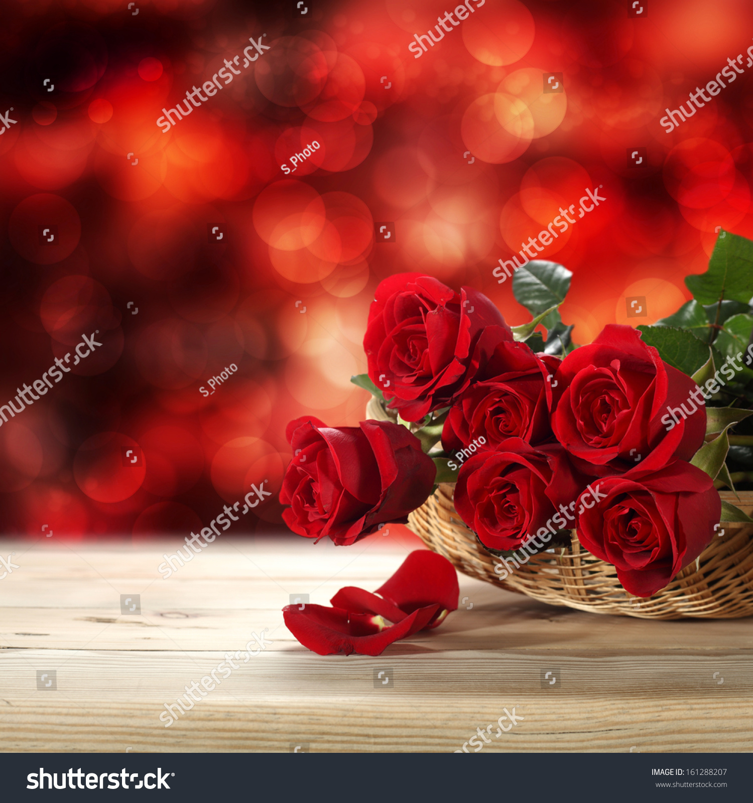 Bokeh roses pictures