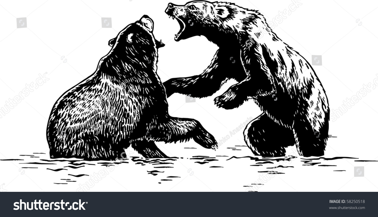 Fight Bears Stock Illustration 58250518 Shutterstock