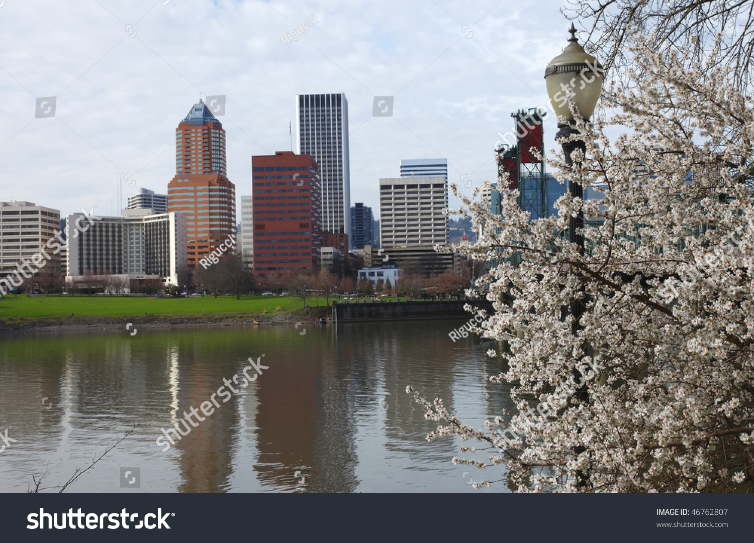Stock options portland oregon