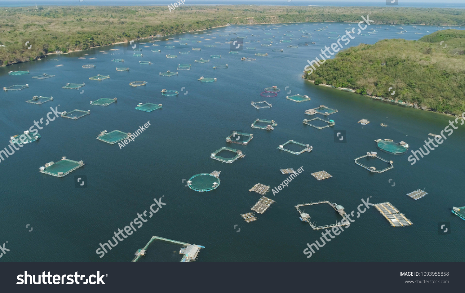 Fish Farm Cages Fish Shrimp Philippines Foto De Stock 1093955858