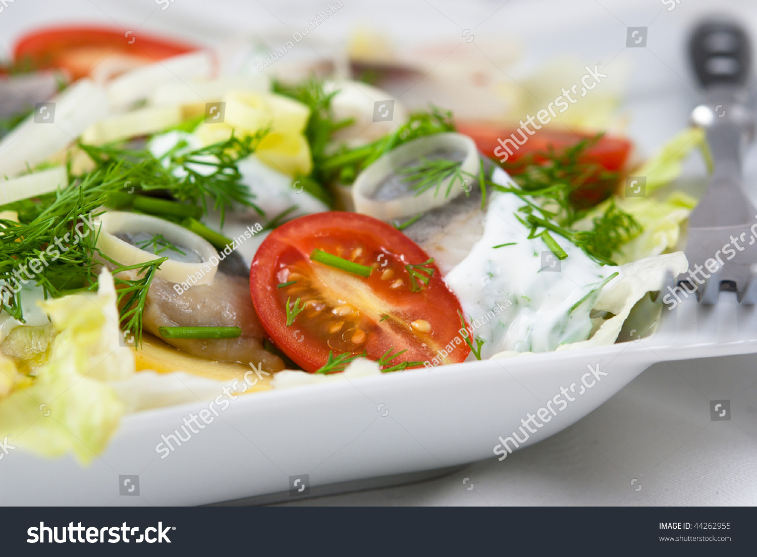 Fish Salad With Vegetables And Herbs Stock Photo 44262955 : Shutterstock