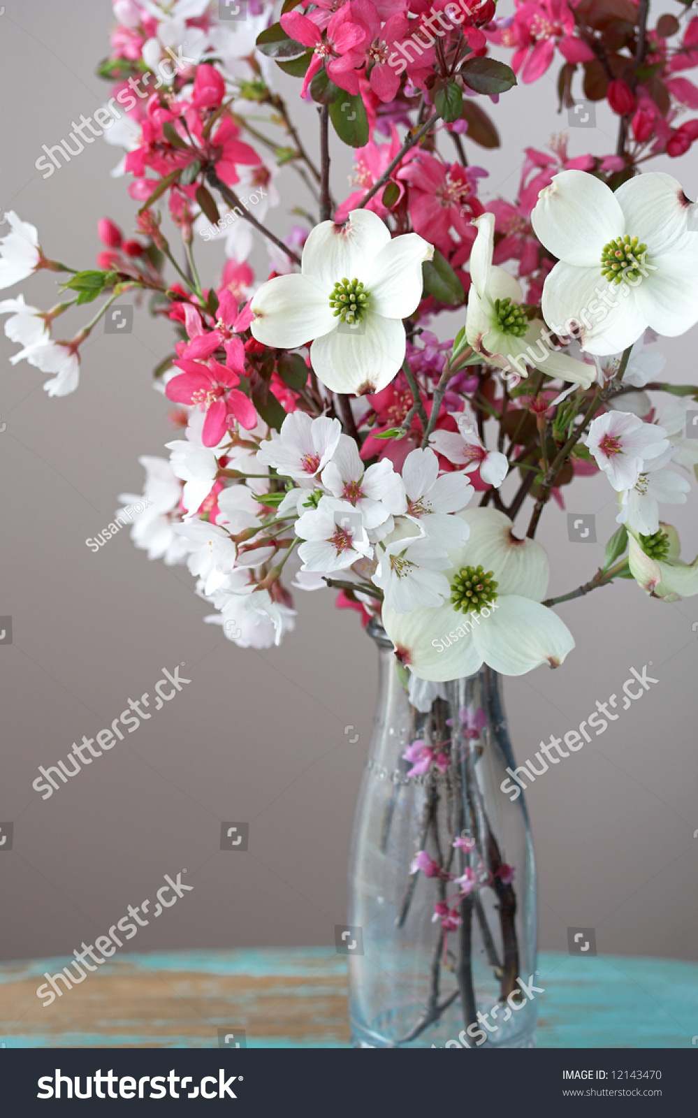 Floral Still Life Stock Photo 12143470 : Shutterstock