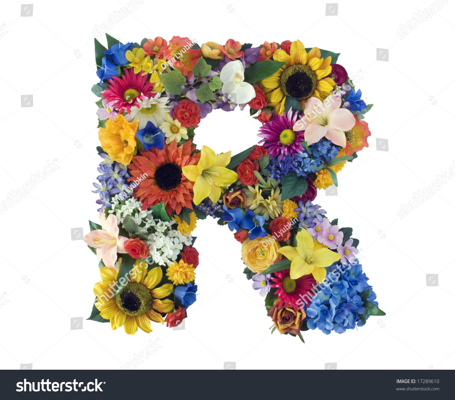 Flower Alphabet R Stock Photo Shutterstock