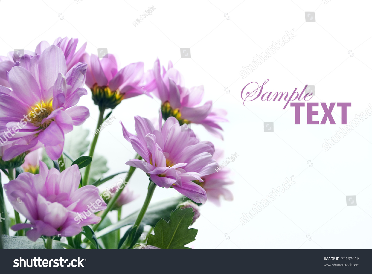Flower Bouquet Isolated Over White Background Stock Photo 72132916