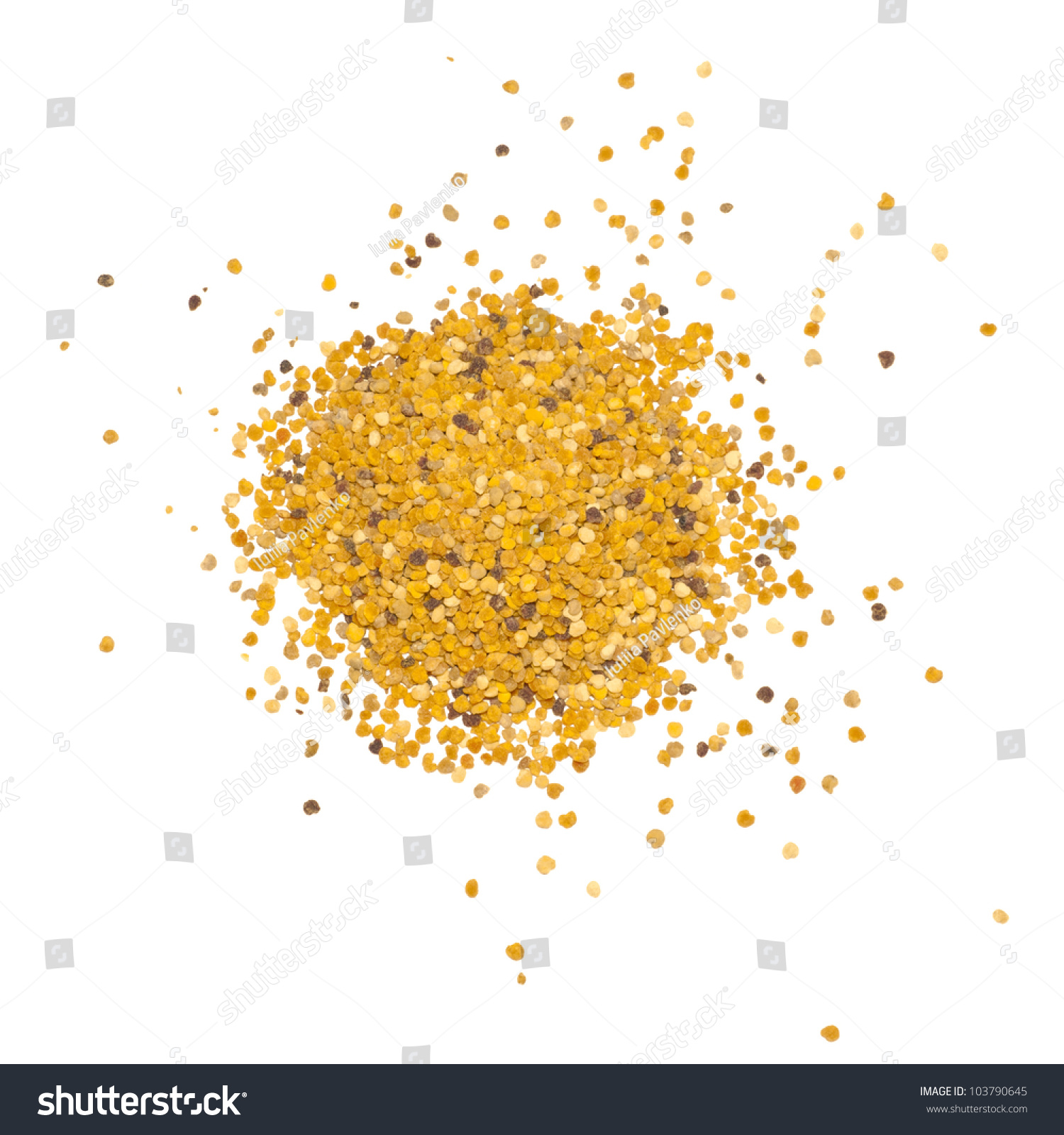 Flower Pollen Isolated On White Background. Stock Photo 103790645