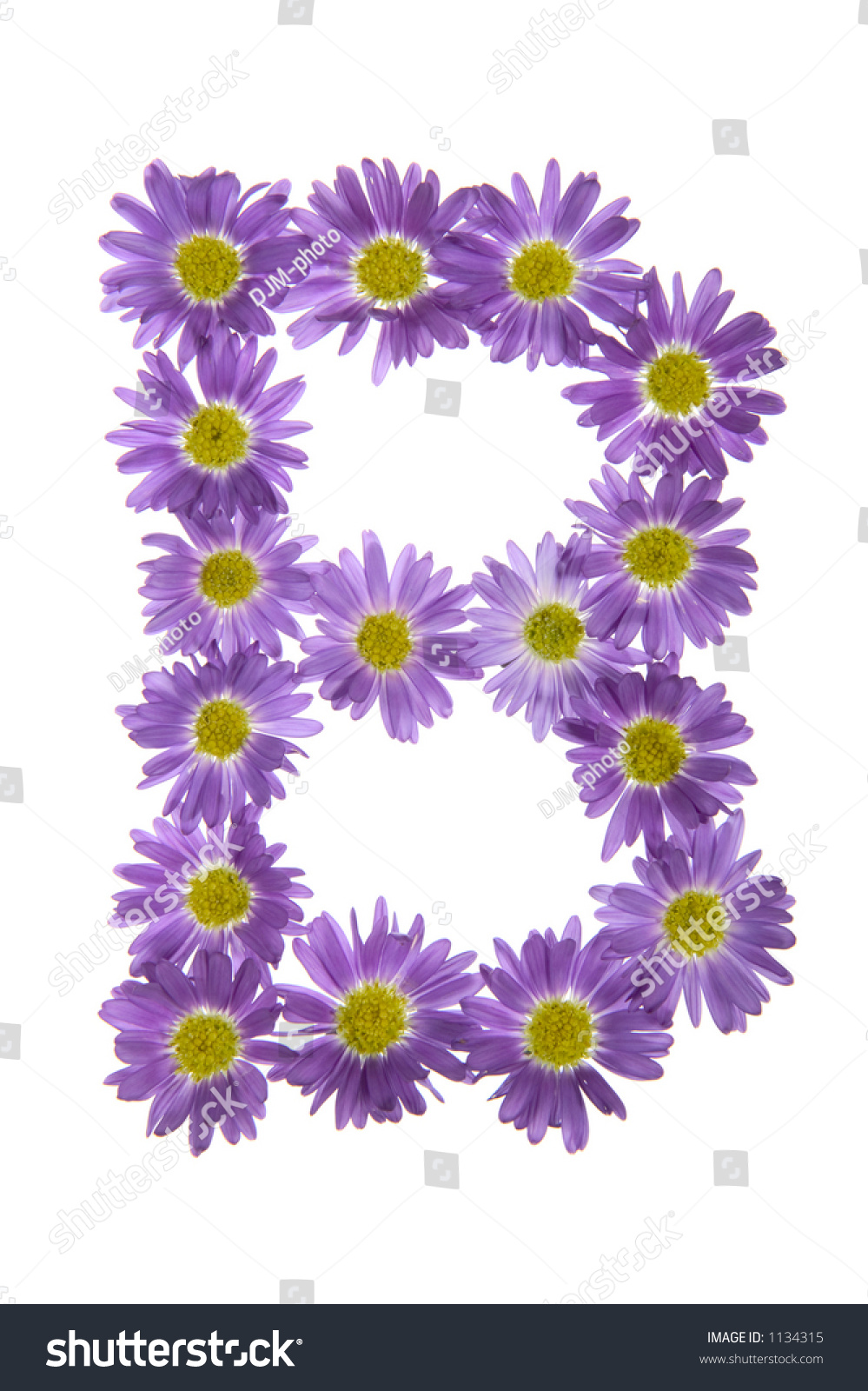 Flowers Arranged Into The Shape Of The Letter B On A Pure White ...