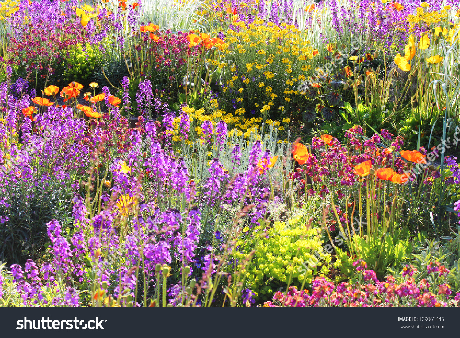 Flowers In A Garden In Geneva, Switzerland. Stock Photo 109063445