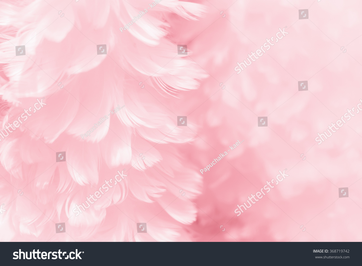 Fluffy Mauve Pink Feather Fashion Design Stock Photo 