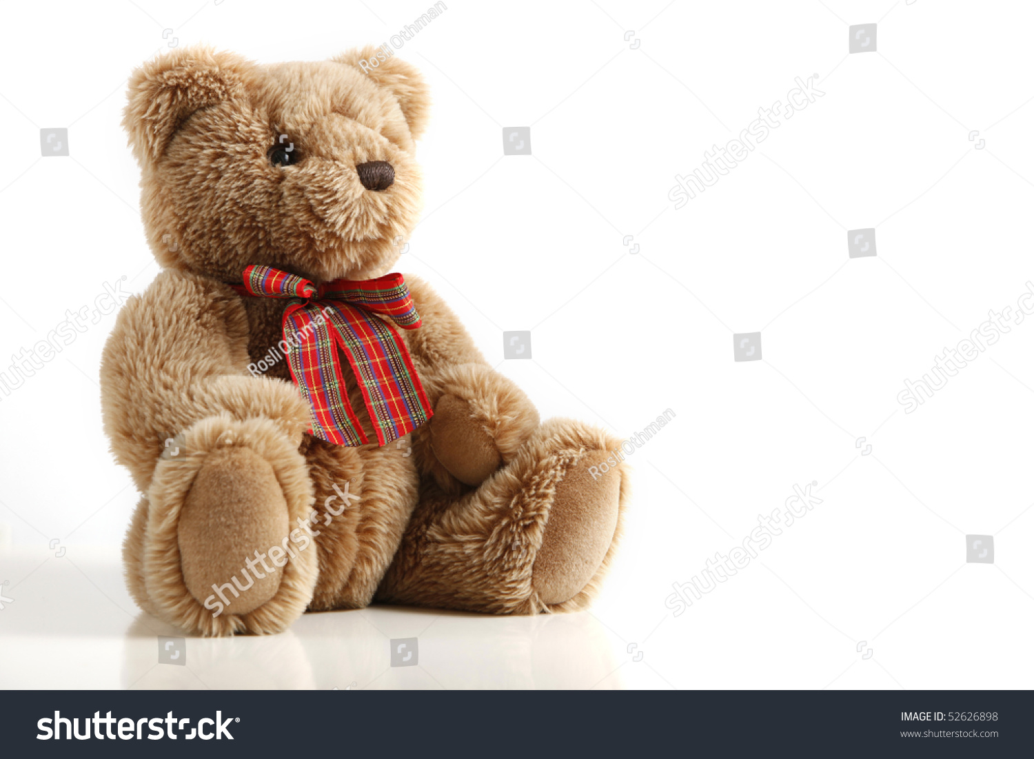 teddy bear fluffy