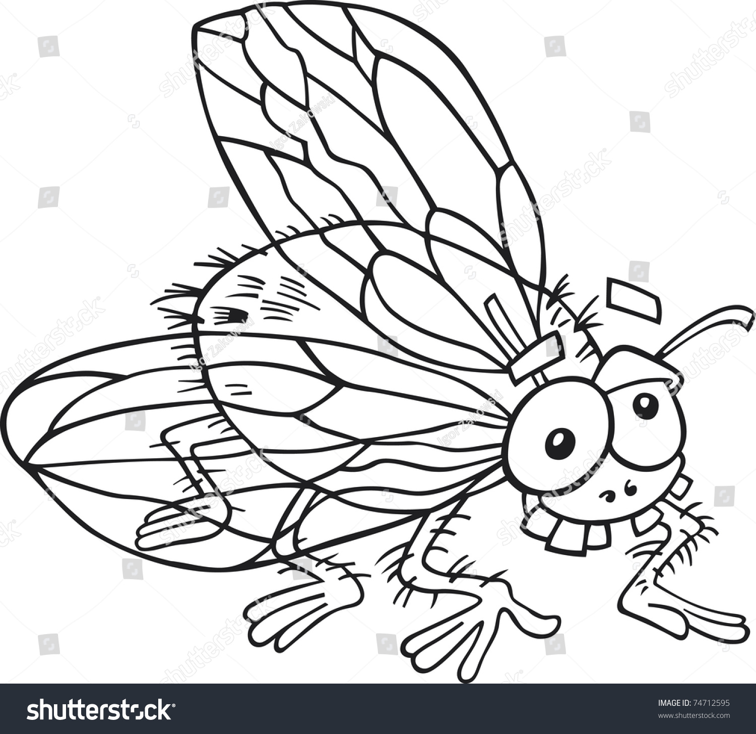 Fly For Coloring Book Stock Photo 74712595 Shutterstock