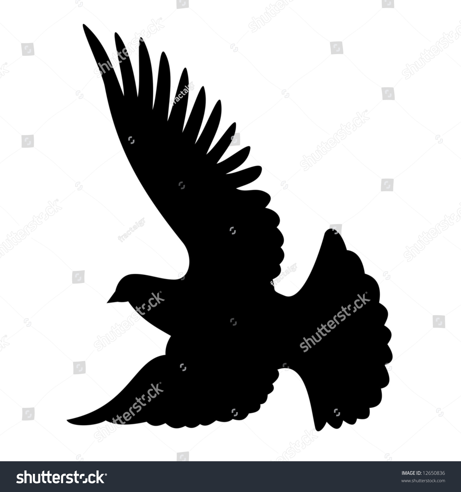 Silhouette Of Dove Flying On White Background Flying Dove Silhouette On White Background Stock Photo