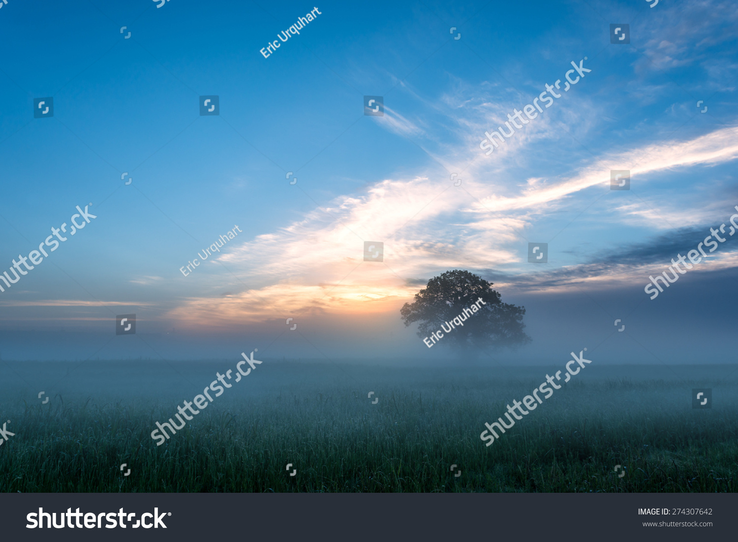 Foggy Morning On The Trinity River In Dallas, Texas Stockfoto 274307642 Shutterstock Foggy Morning On The Trinity River In Dallas, Texas Stockfoto 274307642 Shutterstock