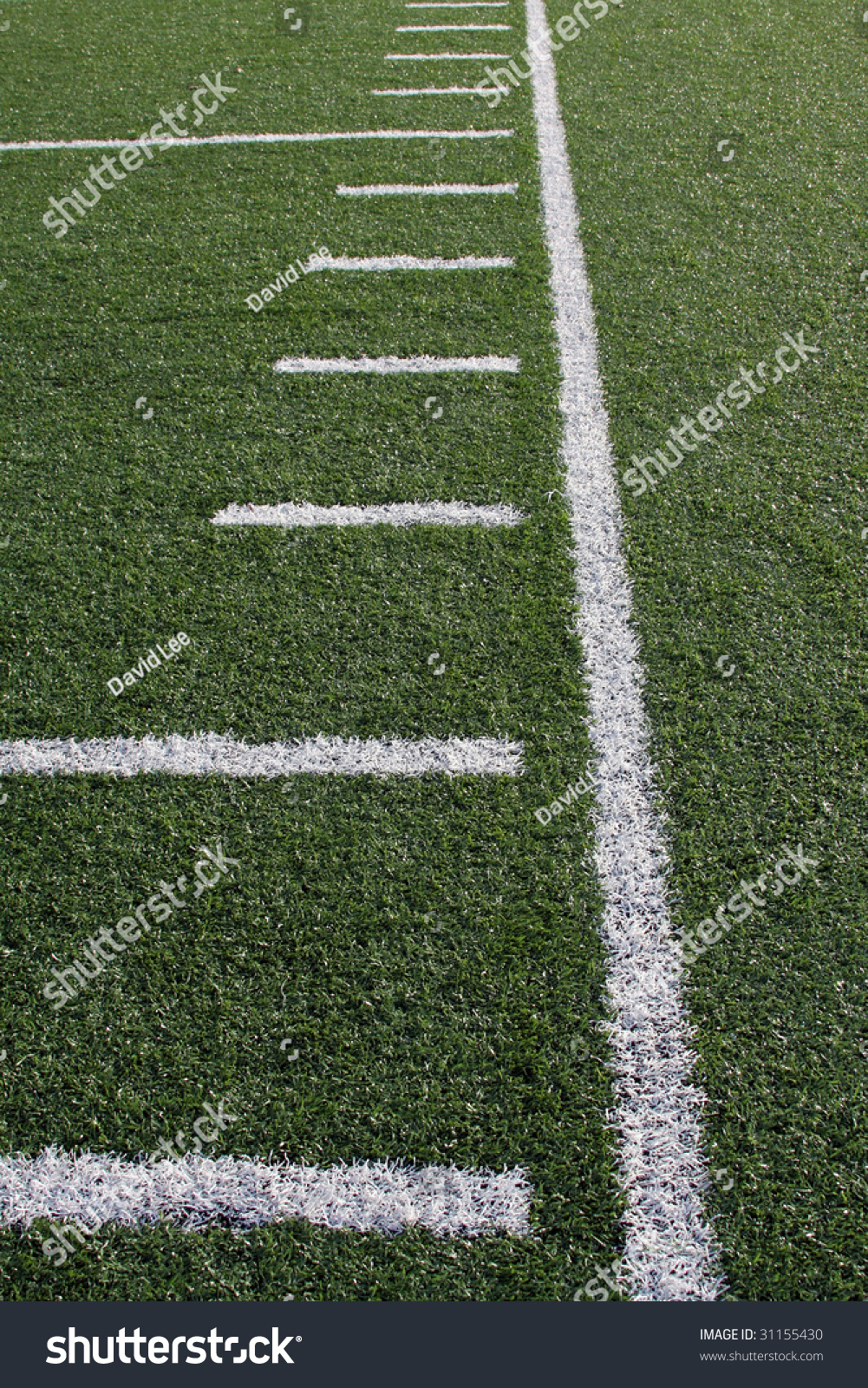 Football Yard Lines Stock Photo 31155430 : Shutterstock