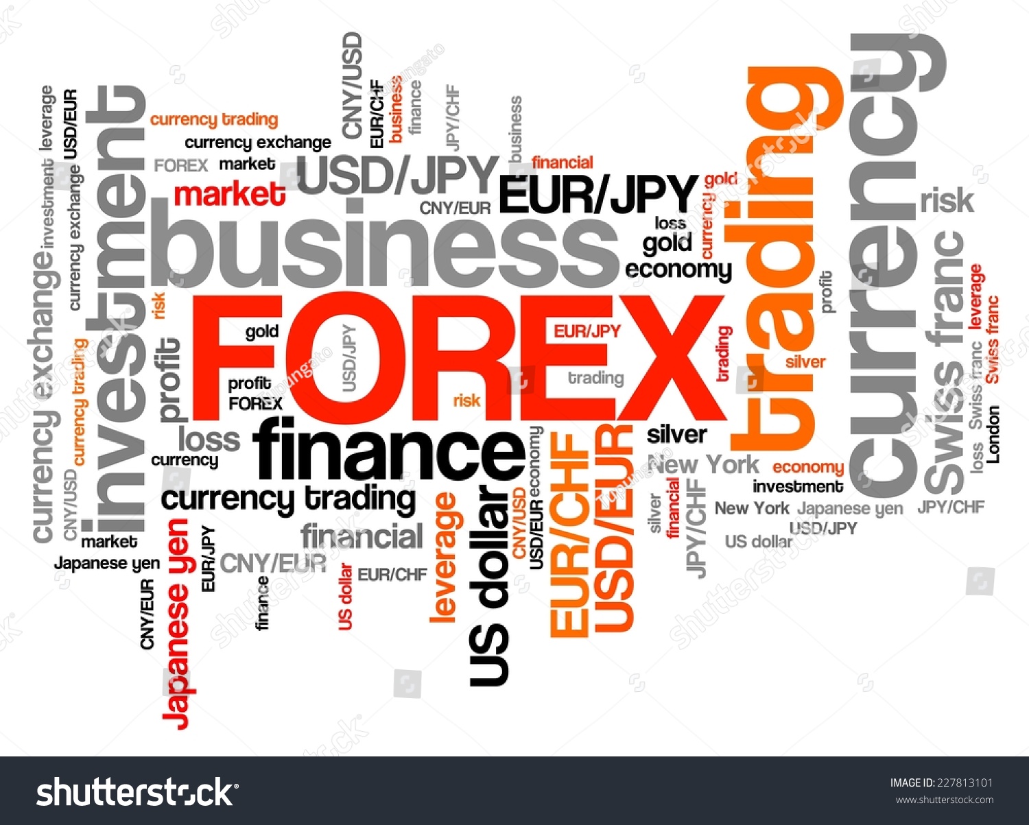forex trading words