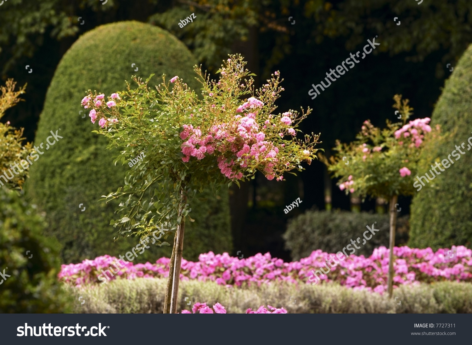 French Garden Stock Photo 7727311 : Shutterstock