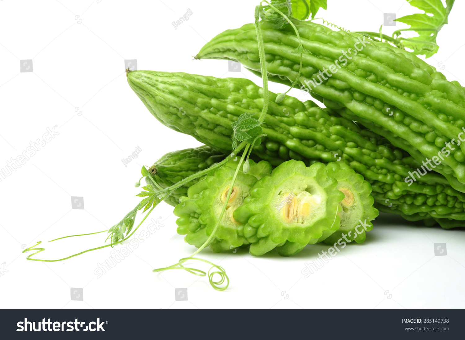 Fresh Bitter Gourd Isolated On White Background Stock Photo 285149738 