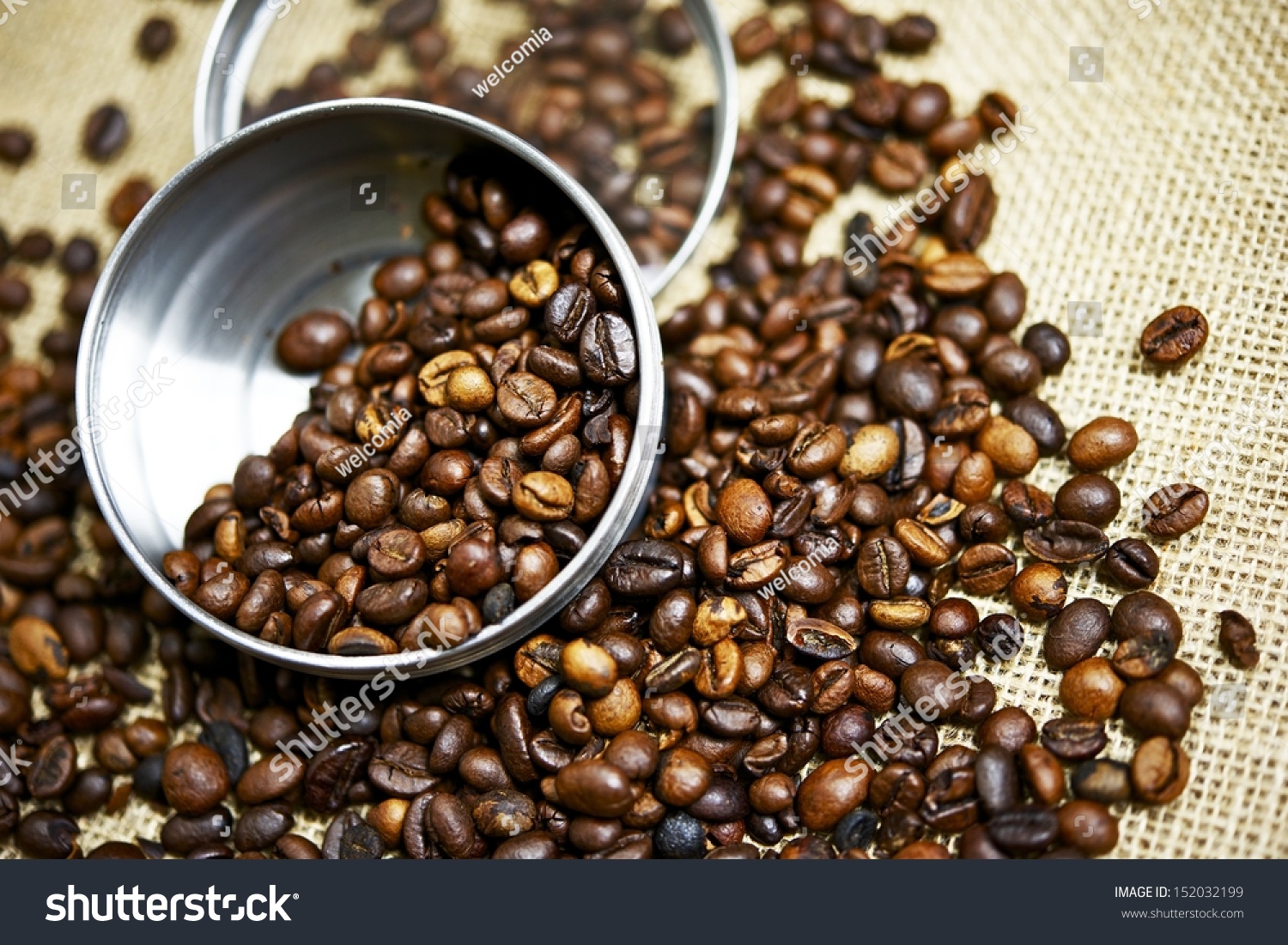 Fresh Coffee Testing. Coffee Photo Collection.. 152032199 Shutterstock