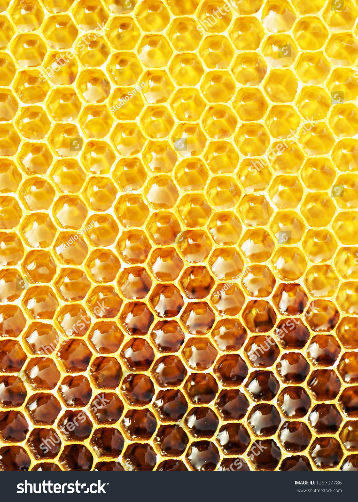 Fresh Honey In Comb Stock Photo 129707786 : Shutterstock