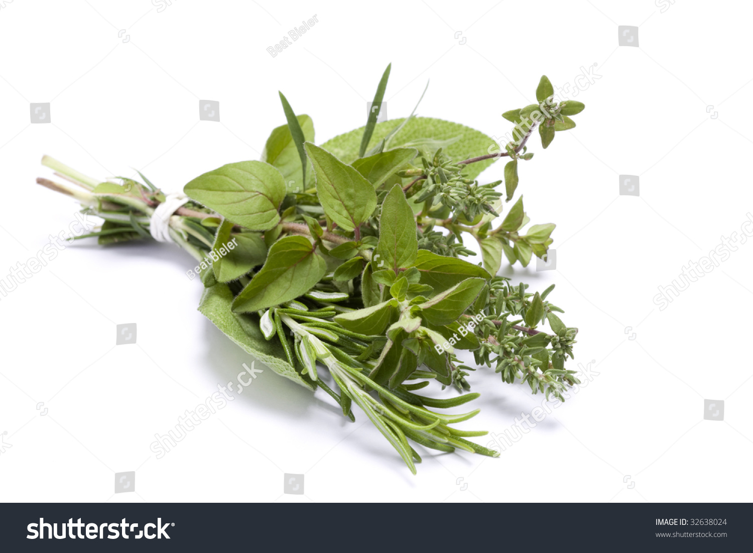Fresh Kitchen Herbs Including Rosemary, Oregano, Thyme, Sage And