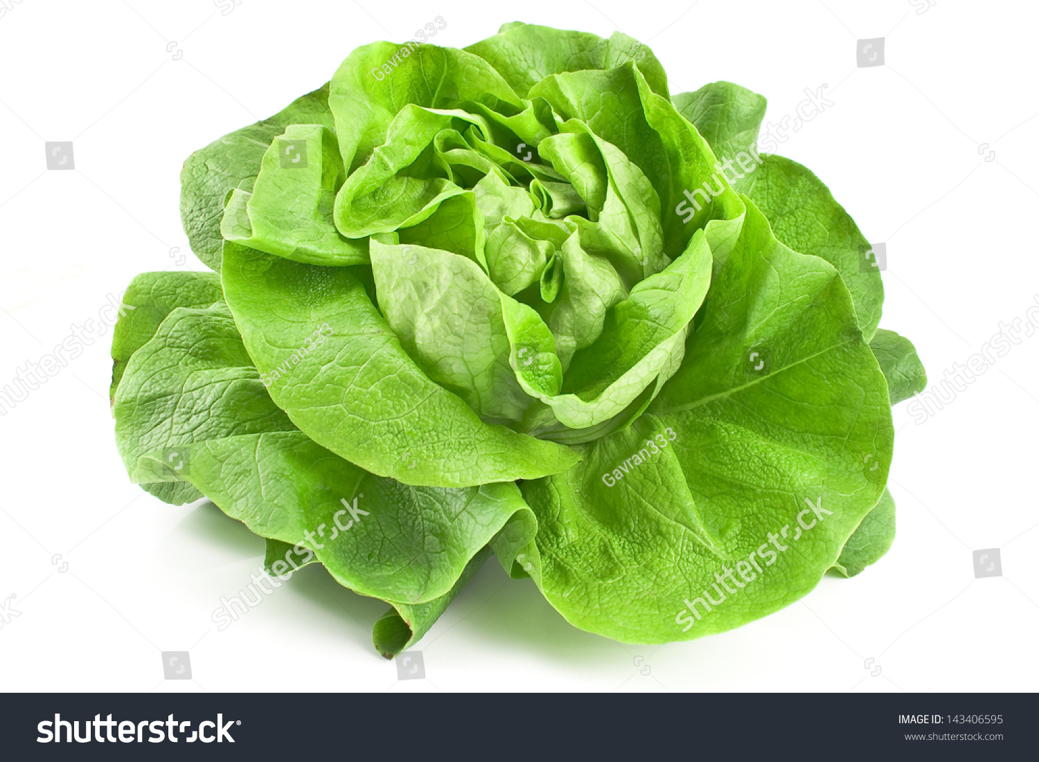 Fresh Lettuce Isolated On White Stock Photo 143406595 : Shutterstock