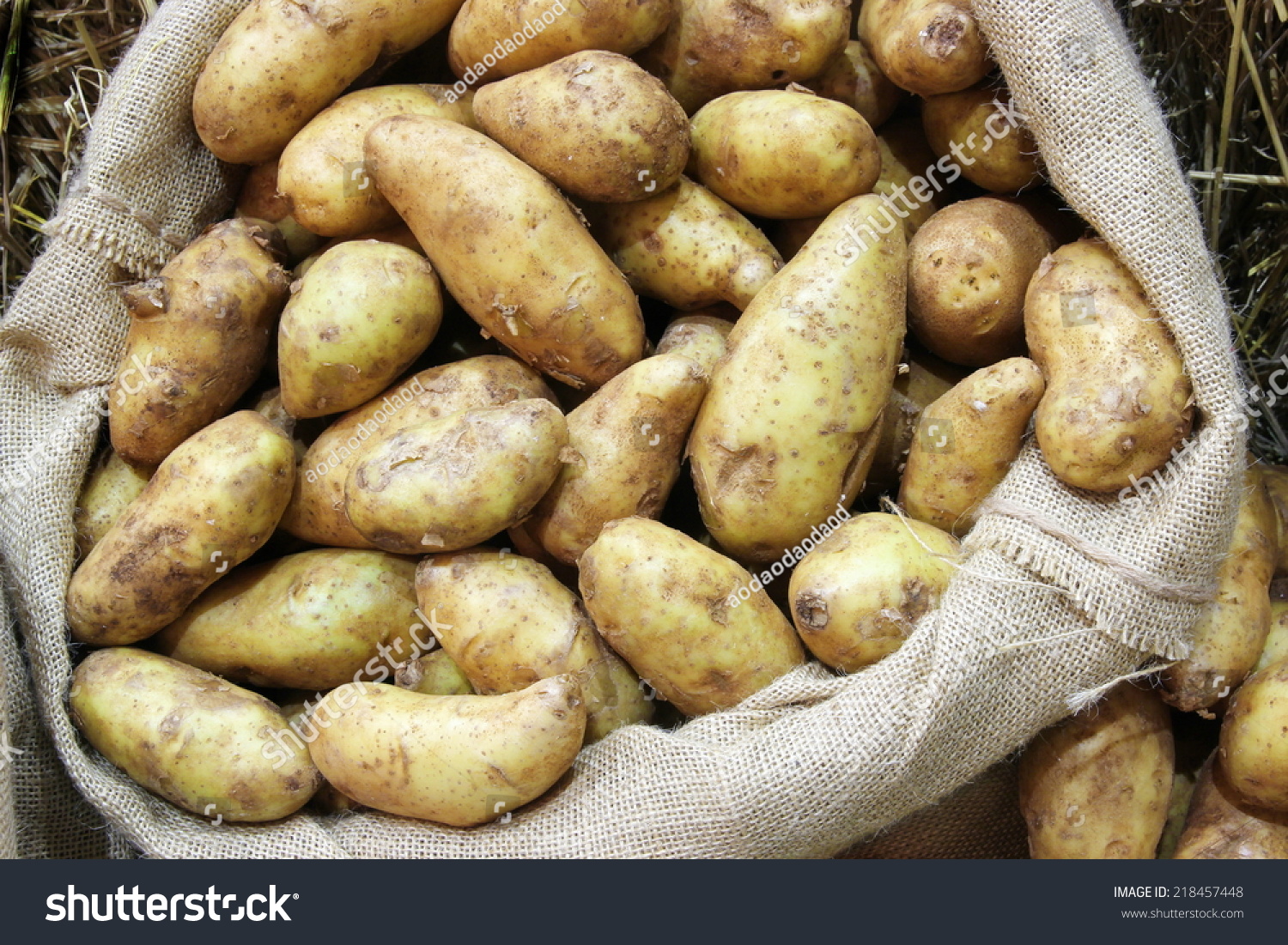 Fresh Raw Potato In Sack Bag Background From Agriculture Harvest