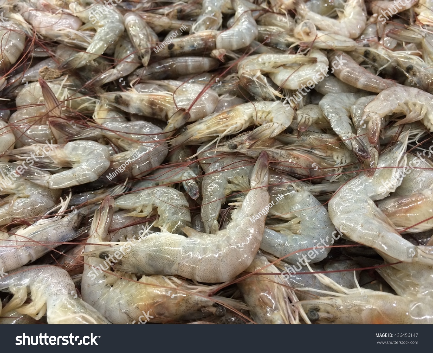 Fresh Whiteleg Shrimp At Seafood Market Stock Photo 436456147 