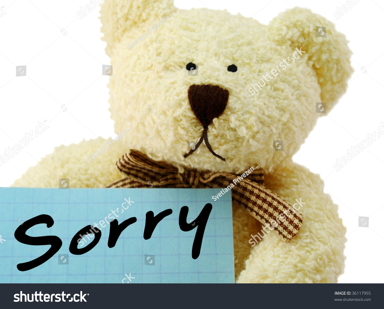 teddy bear with sorry message