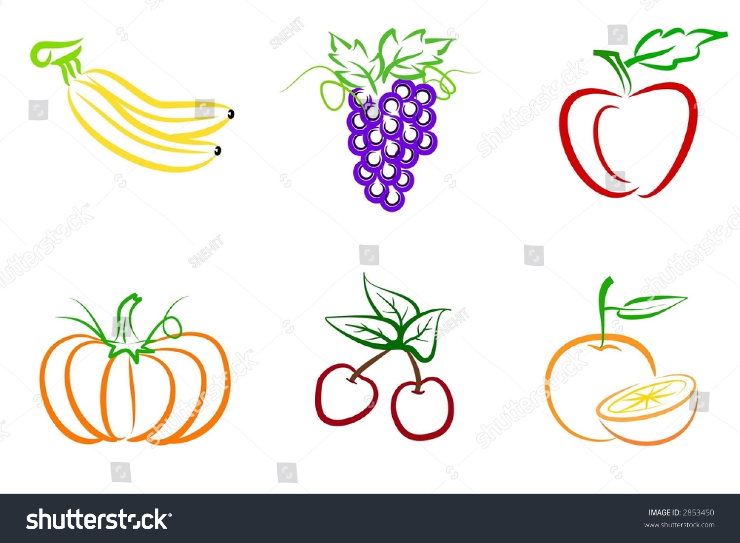 Fruit Illustration - 2853450 : Shutterstock