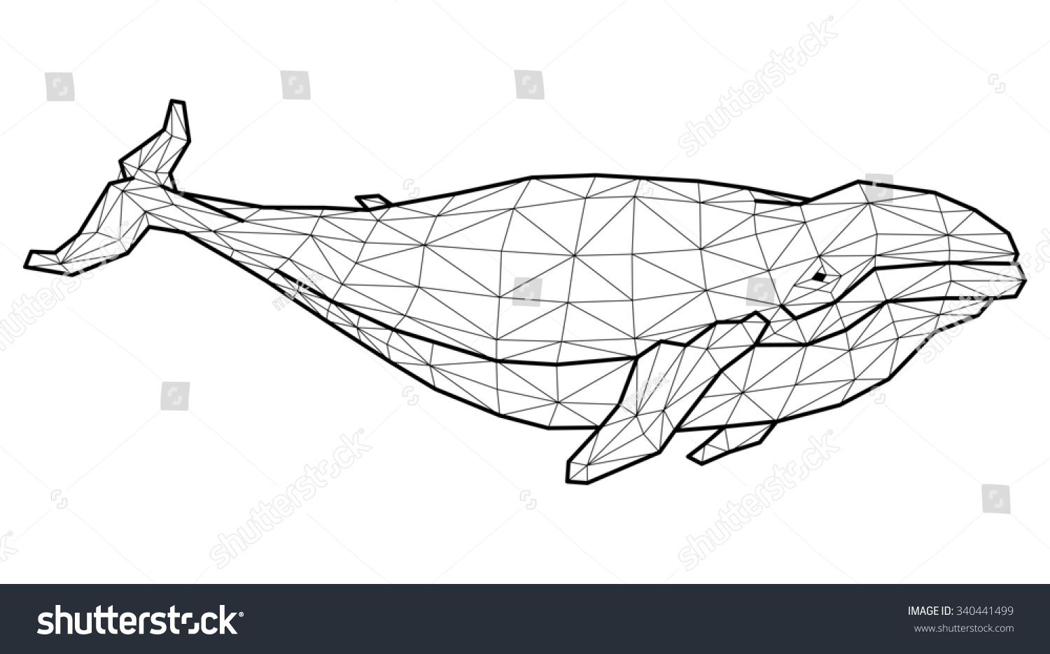 whale geometric drawing