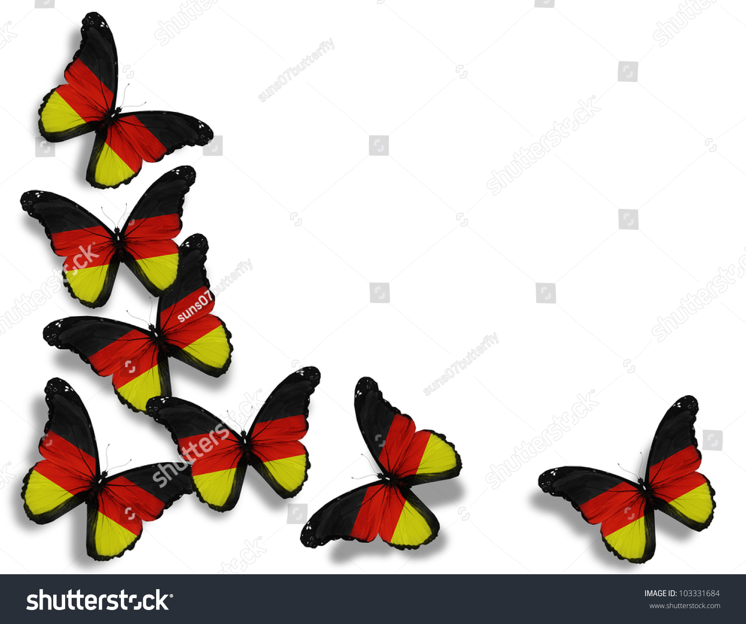 German Flag Butterflies Isolated On White Stock ...