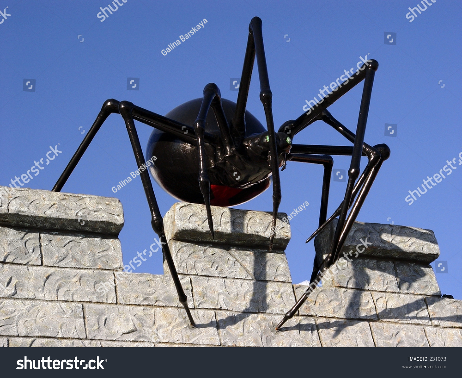 Giant Black Spider On The Wall Stock Photo 231073 Shutterstock