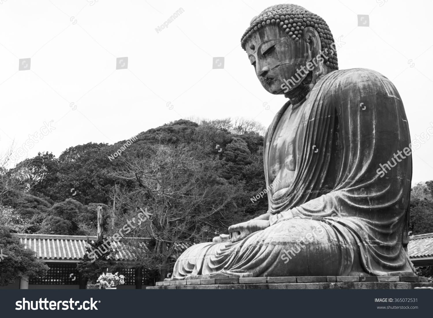 Giant Buddha Statue In Japan Stock Photo 365072531 Shutterstock