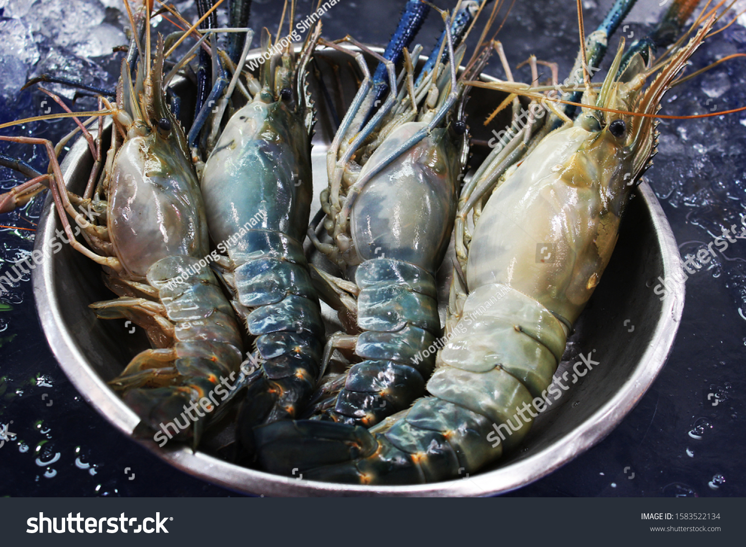 Fresh Water Prawns Images Stock Photos Vectors Shutterstock