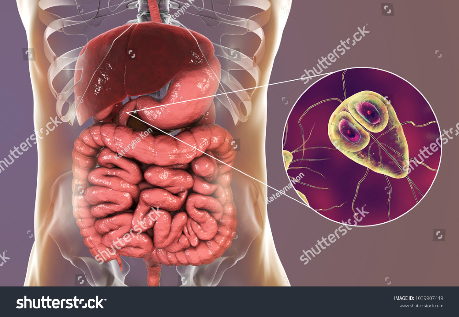 Giardia Lamblia Protozoan Found Duodenum Closeup Stock Illustration