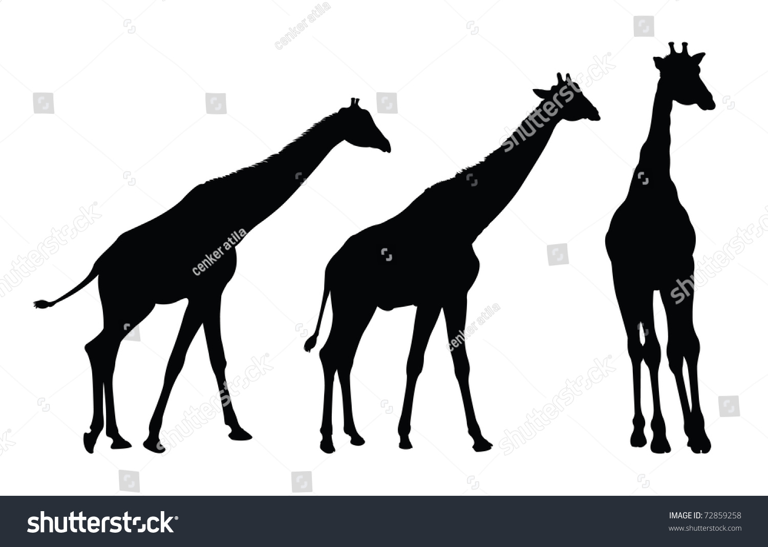 Giraffe Silhouette Stock Illustration 72859258 - Shutterstock