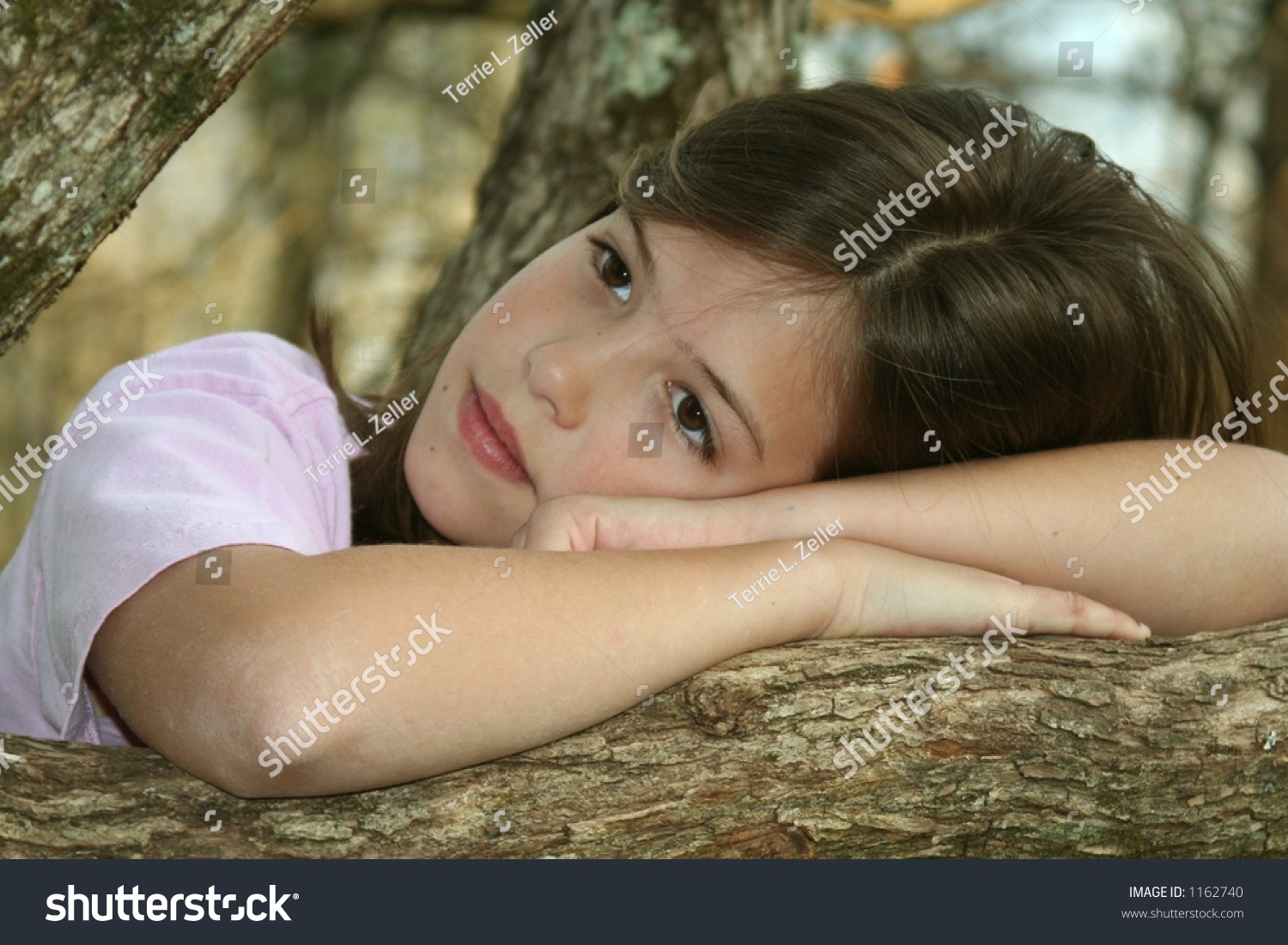 Oak - Resting Oak - Resting