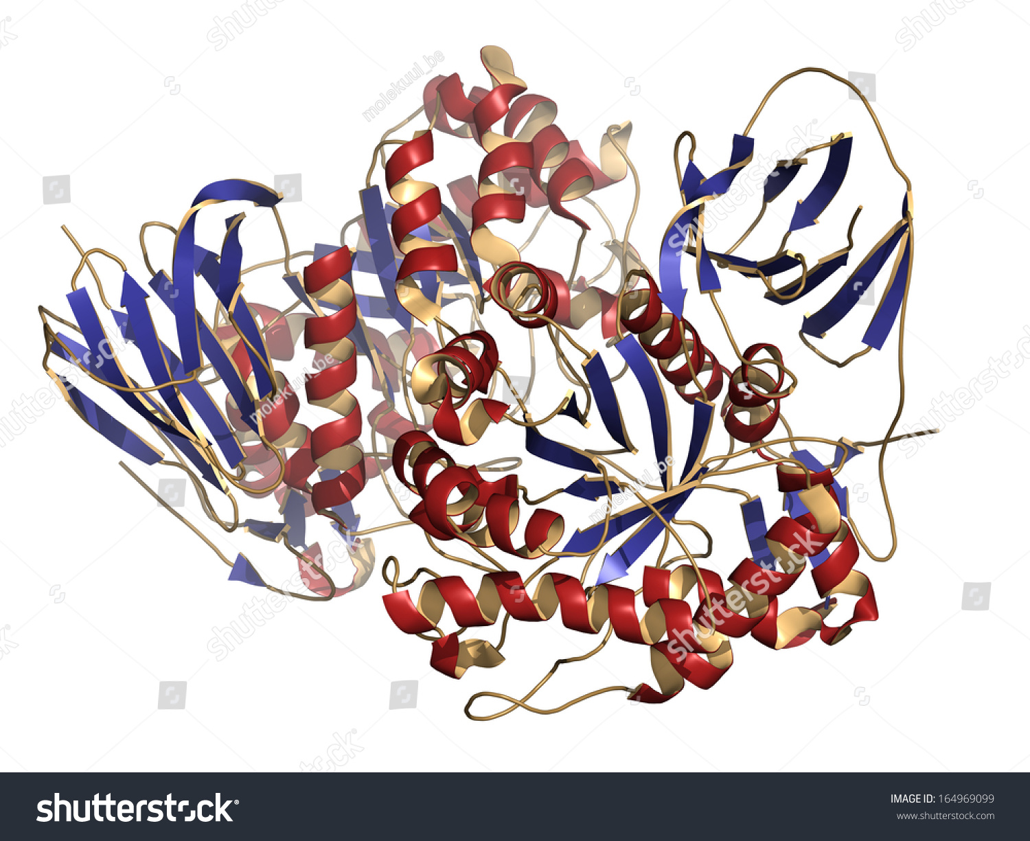 Glucocerebrosidase Betaglucosidase Enzyme Molecule Deficient Gauchers