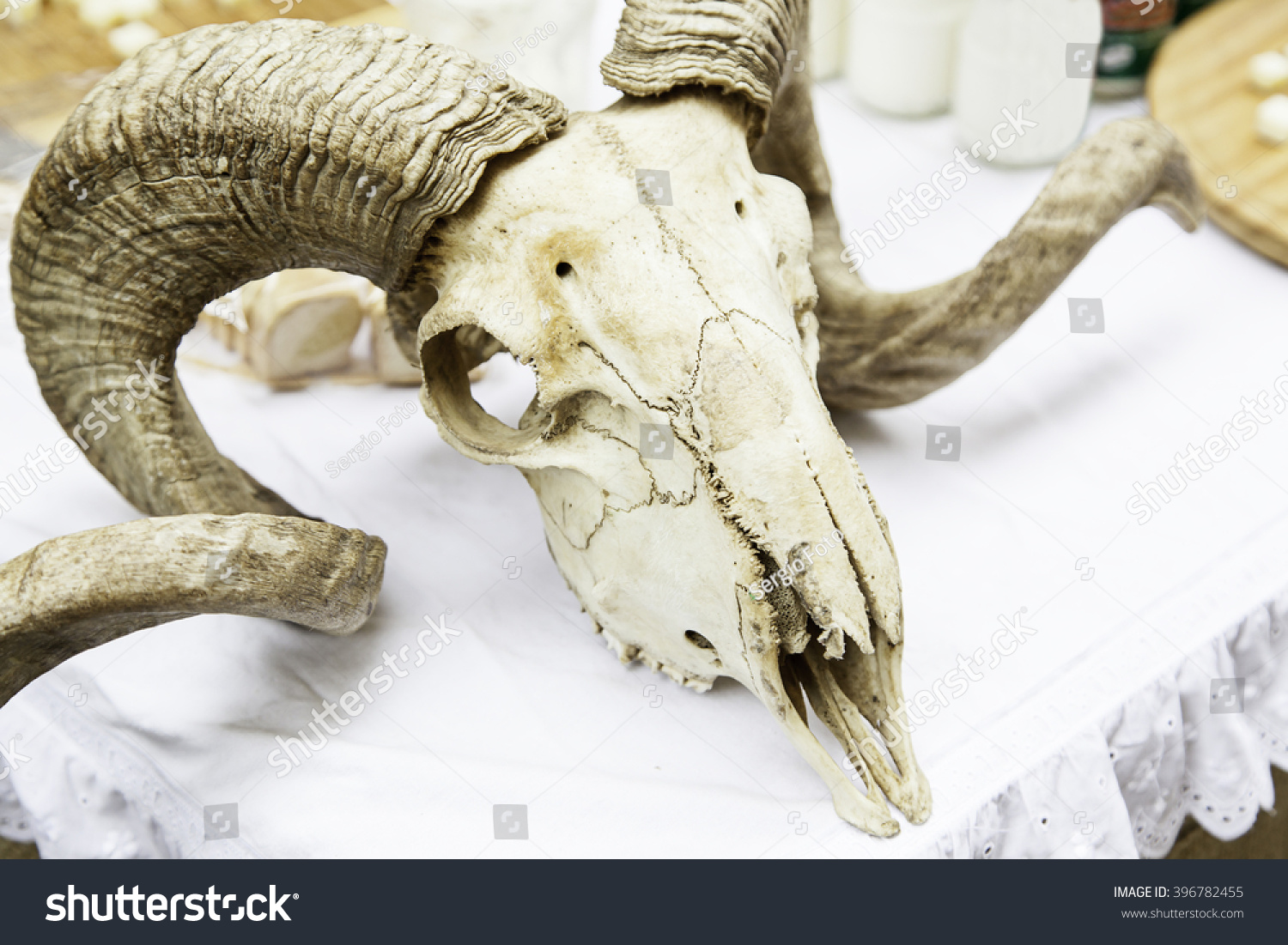 stock-photo-goat-skull-with-horns-detail